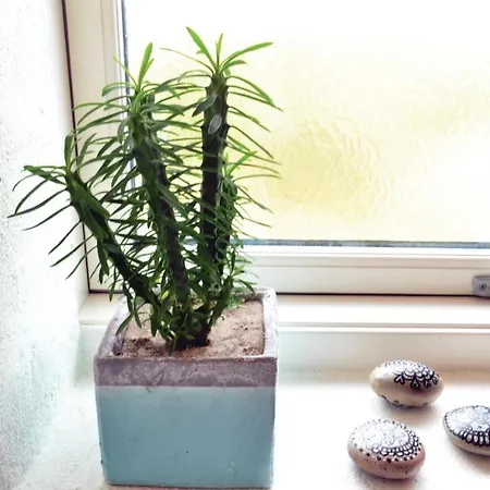 Skodbjergevej Hvide Sande Ii * Havrvig